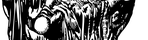 Asset Management Association