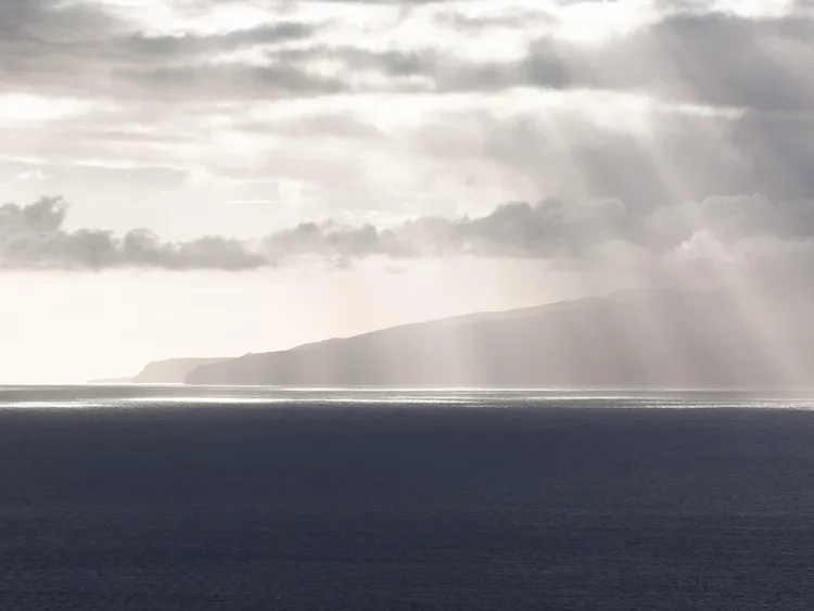 Janus Henderson legt neuen Horizon US Sustainable Equity Fund auf