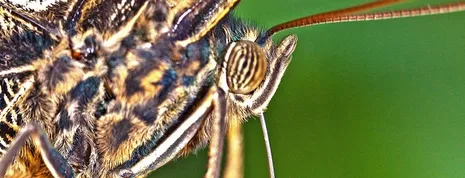 19-03-20 1 SFAMA