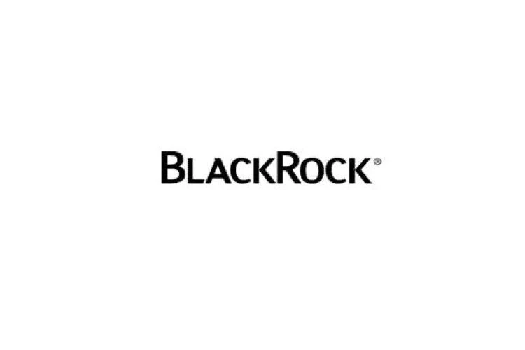 BlackRock hat aktiv gemanagte Aktienstrategie aufgelegt
